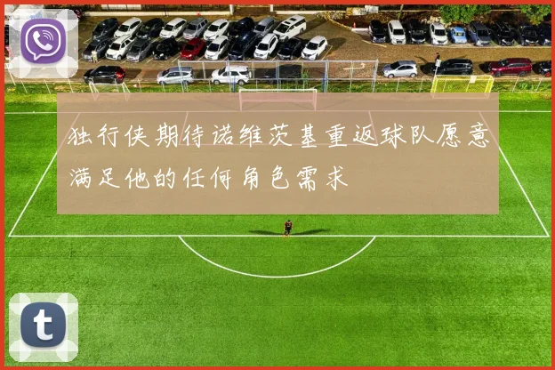 独行侠期待诺维茨基重返球队愿意满足他的任何角色需求